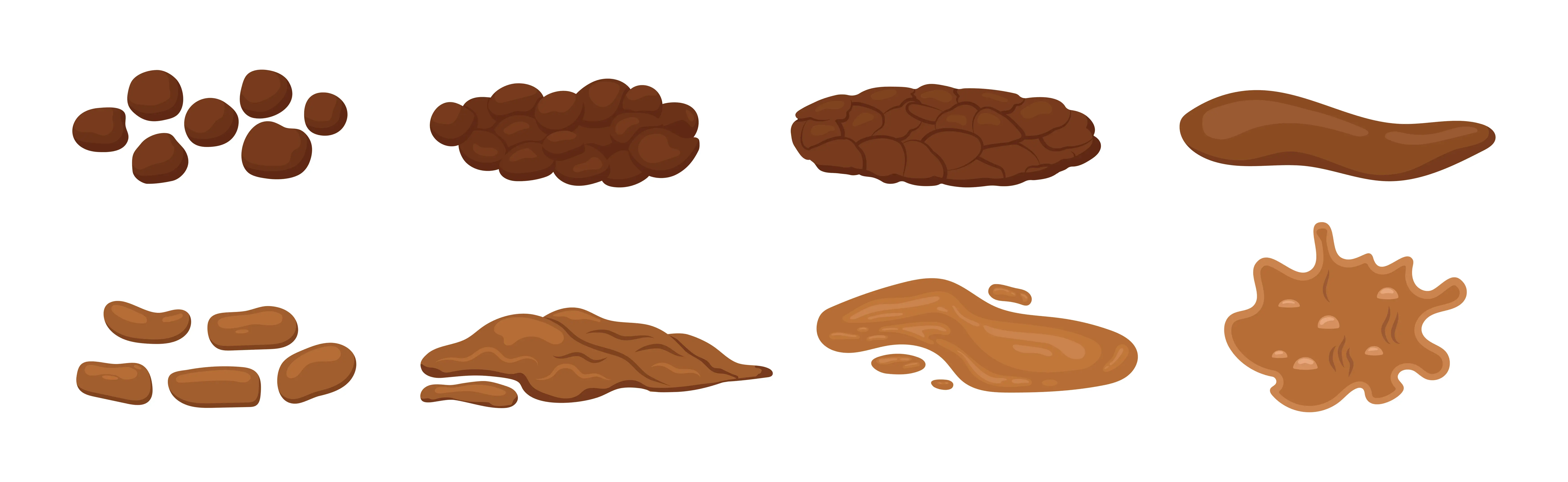 chart showing the different type of poop